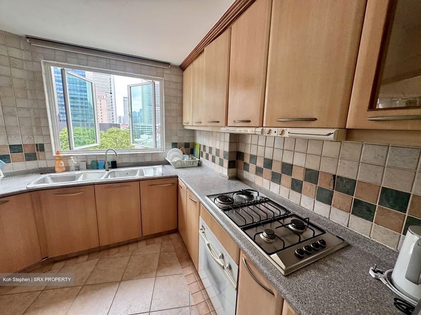 Emerald Garden (D1), Condominium #618484011